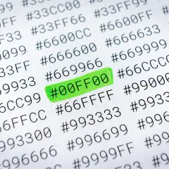 Zaznaczony zielonym markerem kod #00FF00 to czysty zielony kolor HTML.