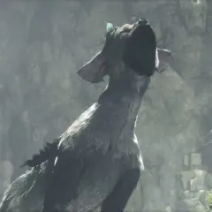 Trico, the last guardian, woła o pomoc w ruinach. Gra The Last Guardian na PC.