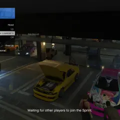 W menu klubu samochodowego LS wybierasz "Vehicle Stance". W tle widać tuningowane auta.