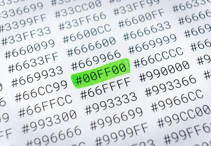 Zaznaczony zielonym markerem kod #00FF00 to czysty zielony kolor HTML.