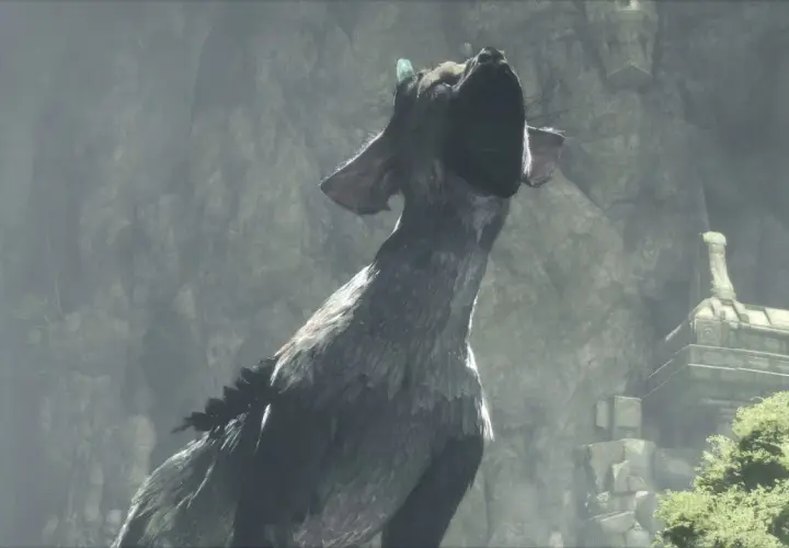 Trico, the last guardian, woła o pomoc w ruinach. Gra The Last Guardian na PC.