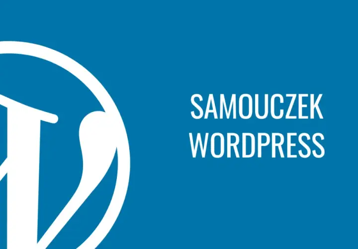 Logo WordPress i napis "SAMOUCZEK WORDPRESS". To narzędzie do tworzenia stron.