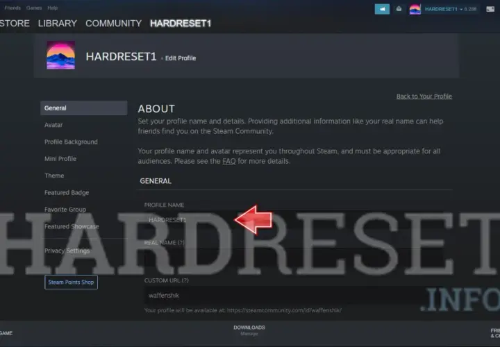 Ekran edycji profilu Steam. Pole "PROFILE NAME" jest podświetlone, sugerując możliwość zmiany nazwy konta.