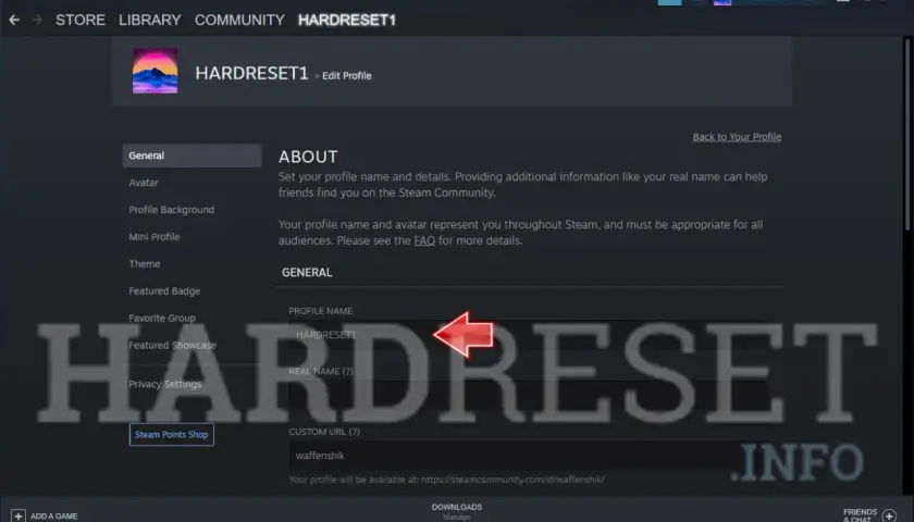 Ekran edycji profilu Steam. Pole "PROFILE NAME" jest podświetlone, sugerując możliwość zmiany nazwy konta.