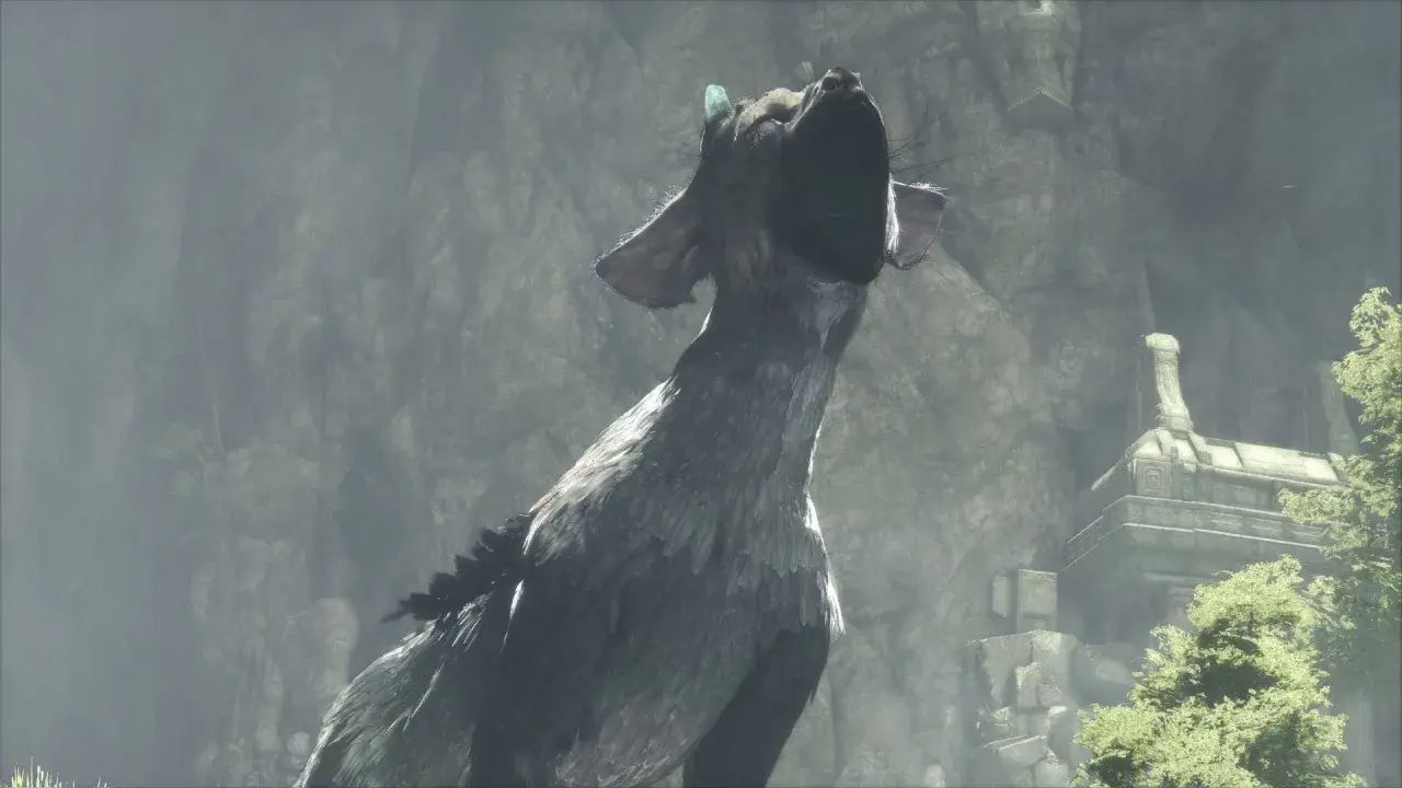 Trico, the last guardian, woła o pomoc w ruinach. Gra The Last Guardian na PC.