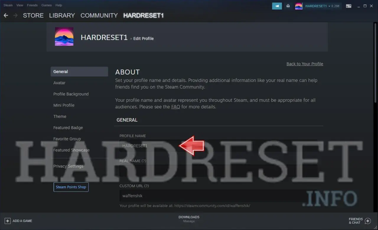 Ekran edycji profilu Steam. Pole "PROFILE NAME" jest podświetlone, sugerując możliwość zmiany nazwy konta.