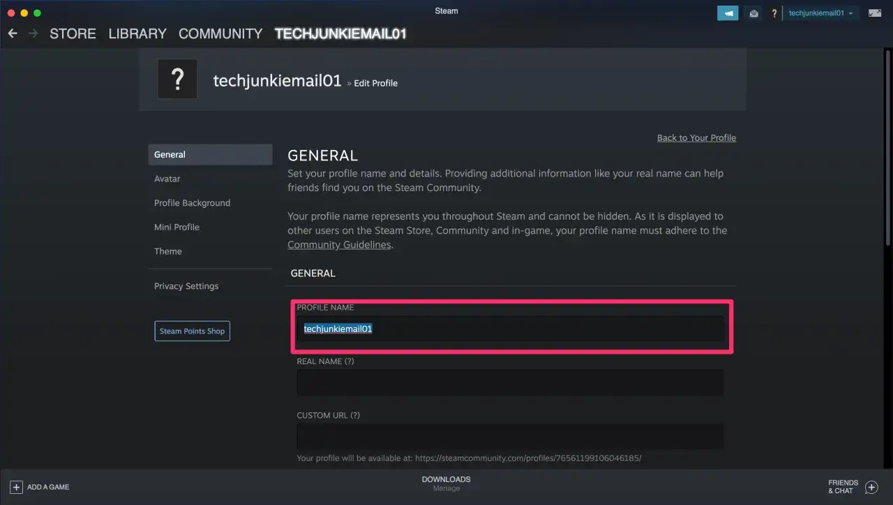 Ustawianie nazwy profilu na Steam. Pole 
